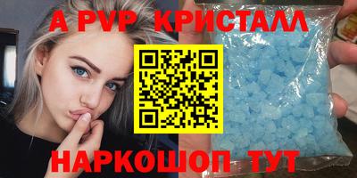 гашик Нальчик