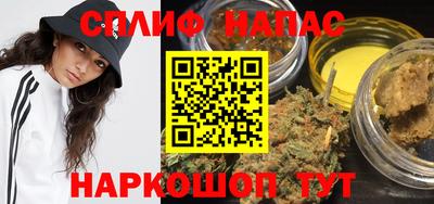 гашик Нальчик